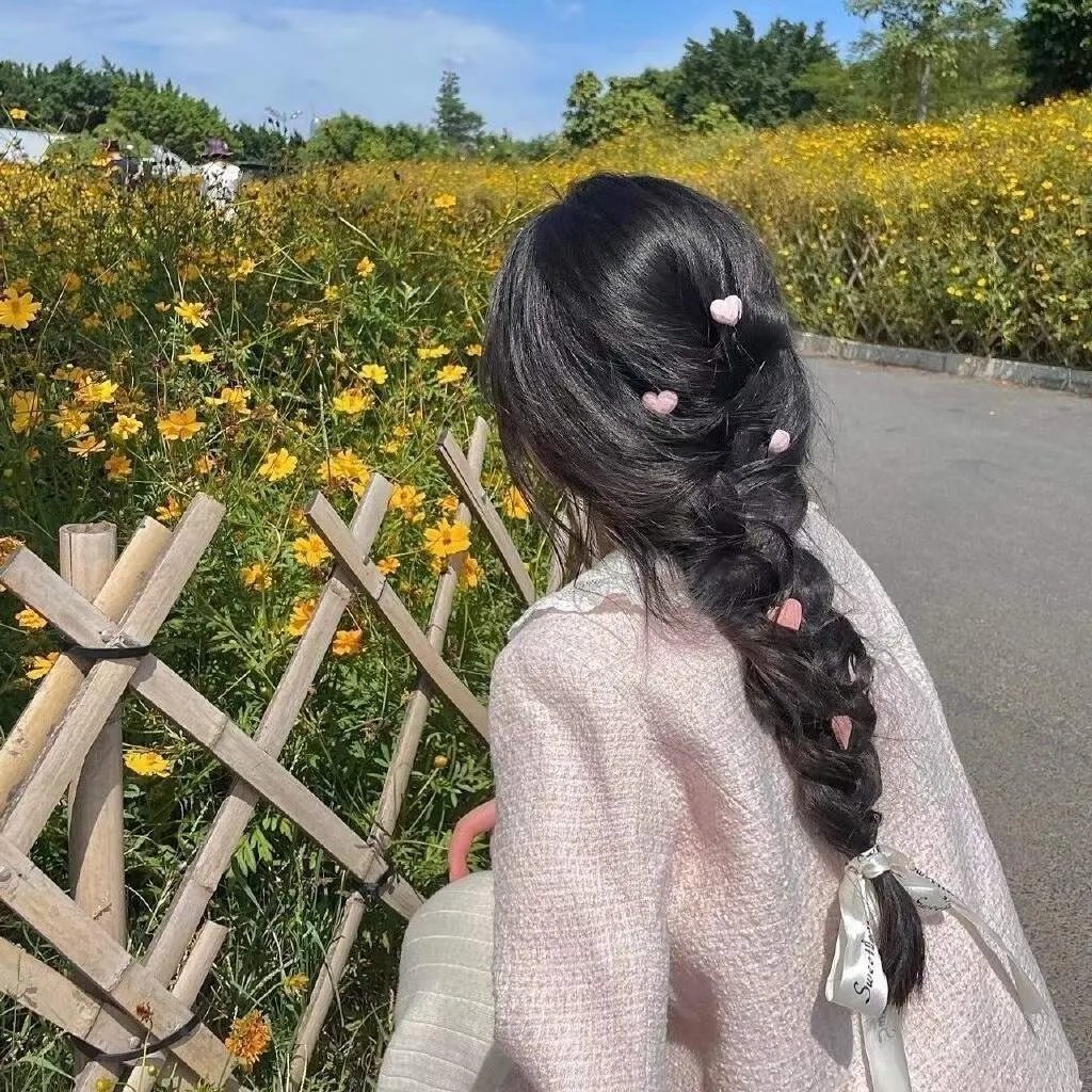鲨与鲸